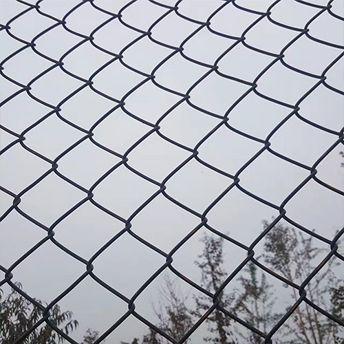chain-link-fence1 chain-link-fence1