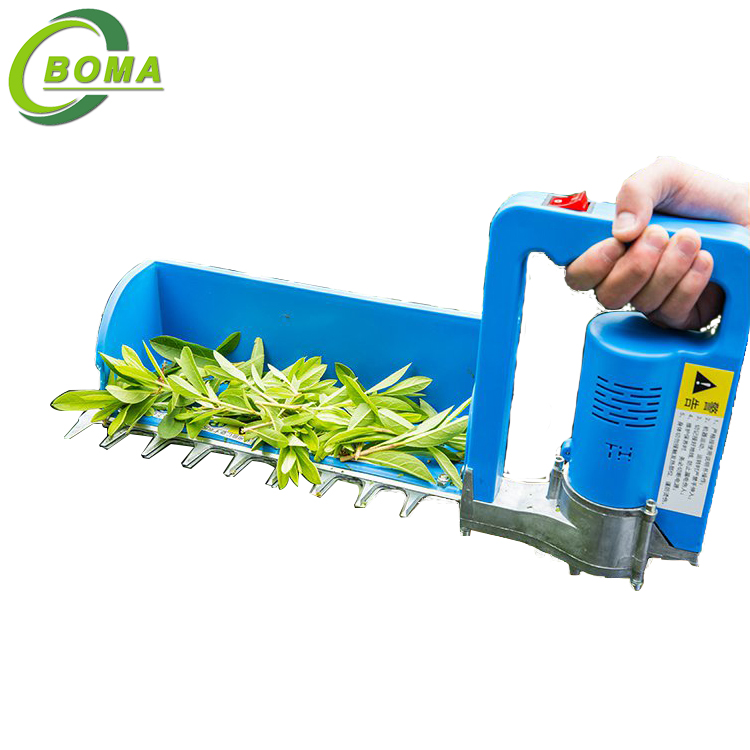 Newest Product Tea Harvester for Tea Plantations BOMA Garden Tools